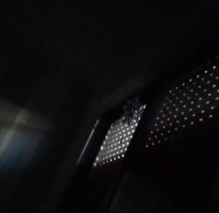 Apartment Lucxe